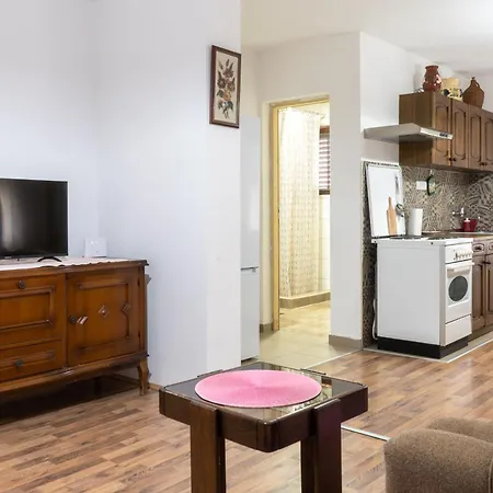 Apartment Zlatkovic Soko Banja